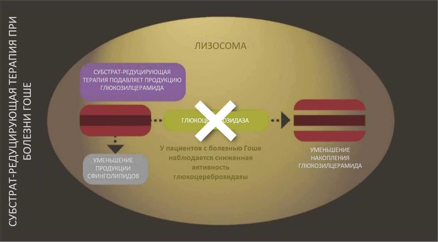 management_l2_substrate_figure-1